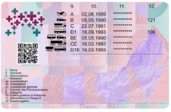 Muster-Führerausweis-Rueckseite