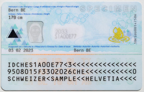 Muster-ID-Rueckseite